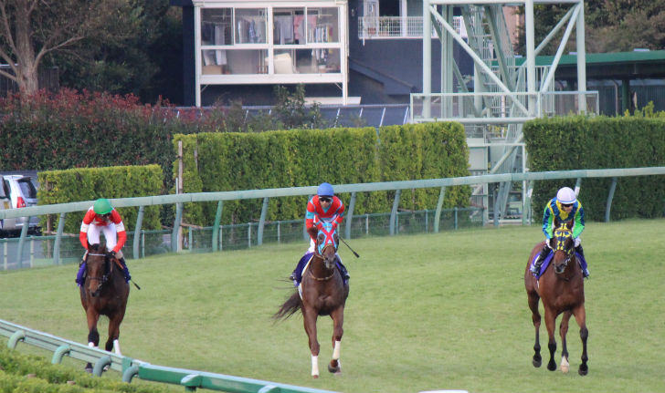 クイーンステークス アイビスサマーダッシュ レース回顧 競馬つらつら