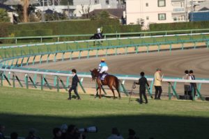 IMG_3517