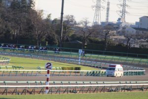 IMG_3553