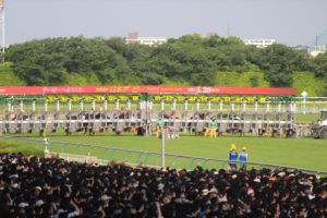 IMG_6618