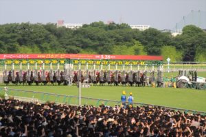 IMG_6619