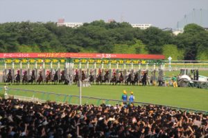 IMG_6620