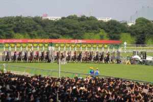 IMG_6621