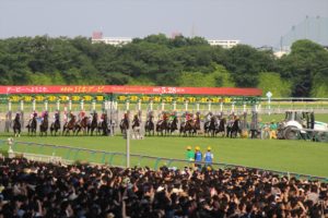 IMG_6622