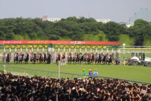 IMG_6623