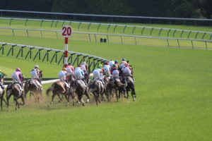IMG_6656