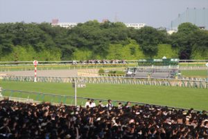 IMG_6666