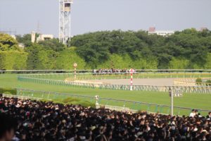 IMG_6667