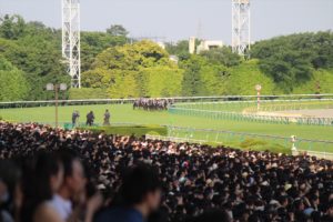 IMG_6671