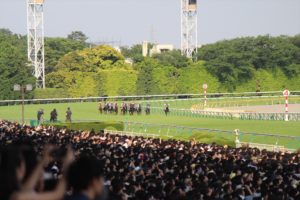 IMG_6680
