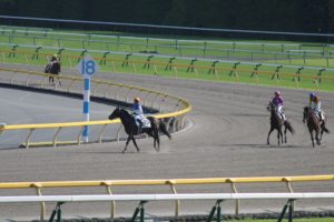 IMG_6727