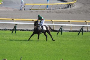 IMG_6734