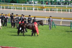IMG_6761