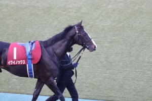 写真で振り返る 第26回東京スポーツ杯2歳ステークス レース回顧
